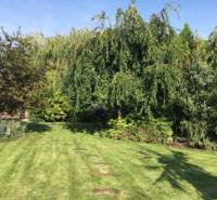 A garden at a family house in Čierna Voda, bordered by trees and a manicured lawn.