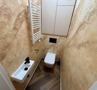 A bathroom in a two-room apartment with beige walls and a wooden decor floor.