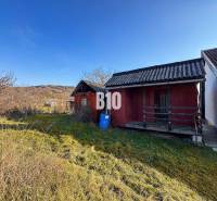 Cottage and gardens in Nitra on a sunny day.