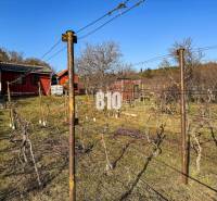 In the Gardens in Nitra, there are vineyards, sheds, and clear skies.