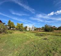 Greenery, trees, and buildings on plots in Nitra for housing.