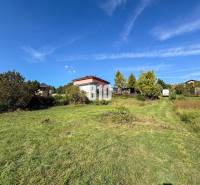 Greenery and family houses on residential plots in Nitra, clear sky.