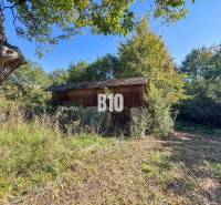 A cottage in Lackov surrounded by grass and trees on a sunny day.