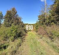 A cottage in Lackov surrounded by nature and a green path leading to the forest.