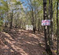 Forest road in Lackov with a sign prohibiting entry onto private property.