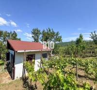A small house surrounded by vineyards in Nitra under a blue sky.