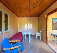 A room with a wooden ceiling, a chair, a table, and paintings, in the premises of a vineyard.