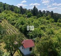 Vineyards around Nitra surrounded by green forests and a small garden cottage.