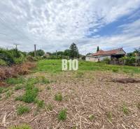 Plots - housing in Bardoňovo with a country house, surrounded by greenery and electric poles.