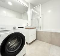 A bathroom in a 2-room apartment with a shower, bathtub, and washing machine.