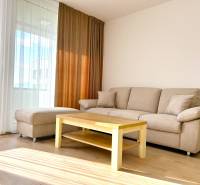 Living room in a two-room apartment with a sofa, table, and floor with a wooden decor.