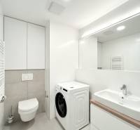 Bathroom with a shower, sink, and washing machine in a 2-room apartment.