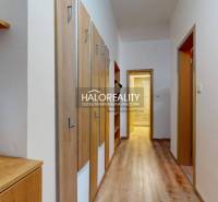A hallway in a 3-room apartment with a wooden decor floor and a coat rack wall.