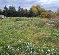 Greenery on a residential plot in Tvrdošovce, with houses and trees in the background.