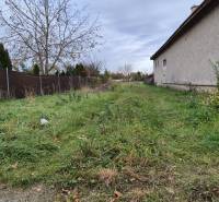 A plot of land in Tvrdošovce suitable for living with a grassy surface and fencing.