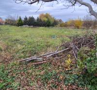 A plot in Tvrdošovce suitable for living, surrounded by trees and greenery.