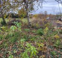 Overgrown plot for housing in Tvrdošovce with trees and a rural scenery.