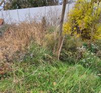 Overgrown plot in Tvrdošovce with fencing, ideal for renovation and landscaping.