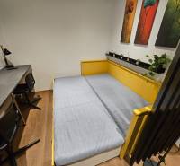 Studio apartment with a bed, table, chairs, and decorative paintings, floor with wood decor.