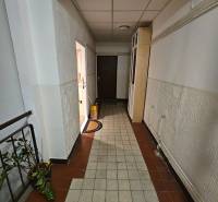 A hallway with tiles, white walls, leads to the door of a studio apartment.