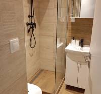 A bathroom in a studio apartment with a wood-patterned floor and a shower corner.