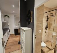Compact studio apartment with wood-patterned flooring, modern kitchen, and designer bathroom.