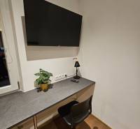 A workspace in a studio apartment with a TV, table, plant, and chair.