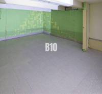 Commercial spaces with concrete floors and green walls.