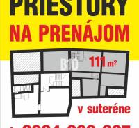 Rental of 111 m² of commercial space in the basement with floor plan and contact.