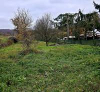 A garden at a family house in Dobrá Voda with greenery and trees, a fence at the edge of the property.