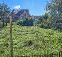 Garden at the family house on Dobrej Vody Street in the town of Dobrá Voda.