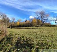 Autumn landscape in the garden near Hlboké nad Váhom with a clear sky and trees.
