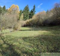 A grassy meadow surrounded by trees on the edge of gardens in Hlboké nad Váhom.