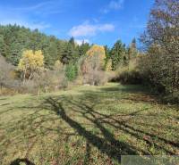 Diverse trees and green grass in the Gardens near Hlboké nad Váhom under a blue sky.