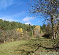 Autumn in the gardens of Hlboké nad Váhom, trees with fallen leaves and a few apples.