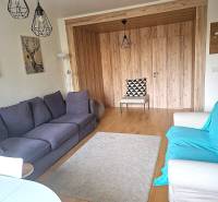 Living room in a 2-room apartment with sofas, wood-patterned flooring, and decorative lighting.