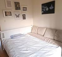 A bedroom in a 2-room apartment with a sofa, bed, and paintings on the wall.