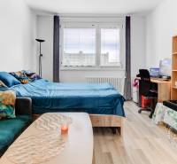 A room in a one-bedroom apartment with a bed, sofa, television, and desk.