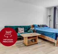 Bright 1-bedroom apartment with wood-patterned flooring, sofa, and bed.