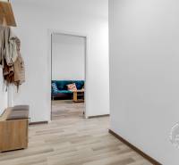 Hallway in a one-room apartment with a wooden decor floor and a coat rack.