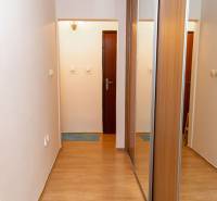 Hallway in a 2-room apartment with a wood-patterned floor and a built-in wardrobe.