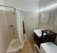 A bathroom in a family house with a washing machine, a shower corner, and a floor with a wooden decor.