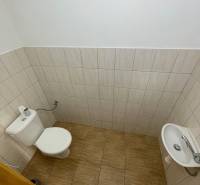 A toilet with a sink in a family house with tiles and cladding.