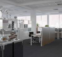 Spacious offices with desks and decorations, including trophies and plants on the shelves.