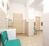 Waiting room in offices with turquoise chairs and light walls.