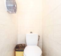 Toilet in the Office premises, light tiles, hanging holder and waste bin.