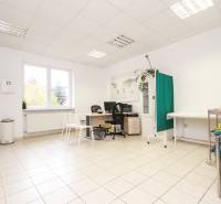 Bright office with a desk, chairs, a plant, and a map on the wall.