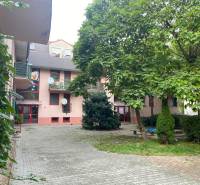 Garden at a 2-room apartment on Mierová Street in Bratislava - Ružinov.