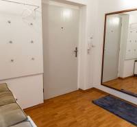 The entrance hall of a 2-room apartment with a wooden decor floor, a mirror, and a coat rack.