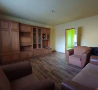 Living room with wood-patterned flooring in a family house.
